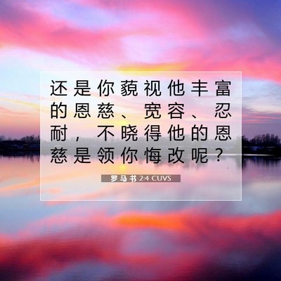 Picture 07 - 罗 马 书 2:4 CUVS - 还 是 你 藐 视 他 丰 富 的 恩 慈 、 - Bible Verse Picture