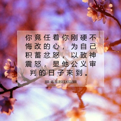 Picture 07 - 罗 马 书 2:5 CUVS - 你 竟 任 着 你 刚 硬 不 悔 改 的 心 - Bible Verse Picture