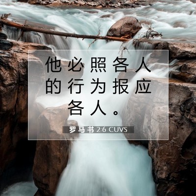 Picture 07 - 罗 马 书 2:6 CUVS - 他 必 照 各 人 的 行 为 报 应 各 人 - Bible Verse Picture