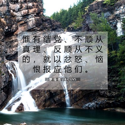Picture 07 - 罗 马 书 2:8 CUVS - 惟 有 结 党 、 不 顺 从 真 理 、 反 - Bible Verse Picture