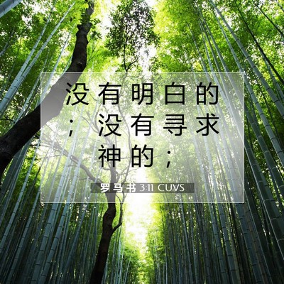 Picture 07 - 罗 马 书 3:11 CUVS - 没 有 明 白 的 ； 没 有 寻 求 神 的 - Bible Verse Picture