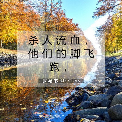 Picture 07 - 罗 马 书 3:15 CUVS - 杀 人 流 血 ， 他 们 的 脚 飞 跑 - Bible Verse Picture