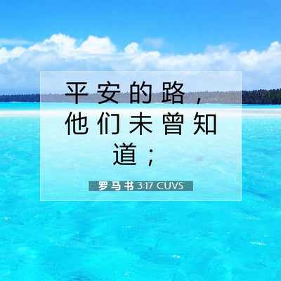 Picture 07 - 罗 马 书 3:17 CUVS - 平 安 的 路 ， 他 们 未 曾 知 道 - Bible Verse Picture