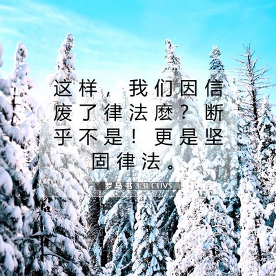 Picture 07 - 罗 马 书 3:31 CUVS - 这 样 ， 我 们 因 信 废 了 律 法 麽 - Bible Verse Picture