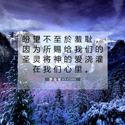 Picture 07 - 罗 马 书 5:5 CUVS - 盼 望 不 至 於 羞 耻 ， 因 为 所 赐 - Bible Verse Picture