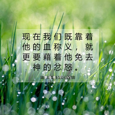 Picture 07 - 罗 马 书 5:9 CUVS - 现 在 我 们 既 靠 着 他 的 血 称 义 - Bible Verse Picture