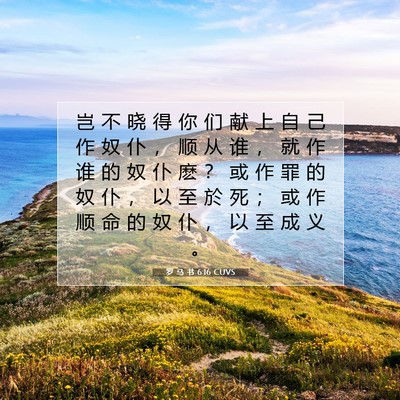 Picture 07 - 罗 马 书 6:16 CUVS - 岂 不 晓 得 你 们 献 上 自 己 作 奴 - Bible Verse Picture