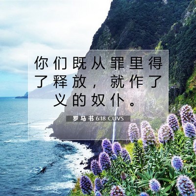 Picture 07 - 罗 马 书 6:18 CUVS - 你 们 既 从 罪 里 得 了 释 放 ， 就 - Bible Verse Picture
