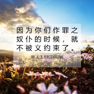 Picture 07 - 罗 马 书 6:20 CUVS - 因 为 你 们 作 罪 之 奴 仆 的 时 候 - Bible Verse Picture