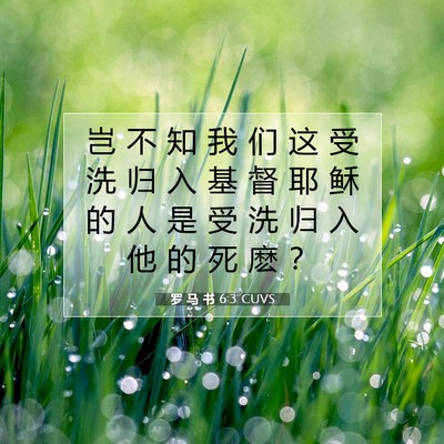 Picture 07 - 罗 马 书 6:3 CUVS - 岂 不 知 我 们 这 受 洗 归 入 基 督 - Bible Verse Picture