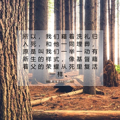 Picture 07 - 罗 马 书 6:4 CUVS - 所 以 ， 我 们 藉 着 洗 礼 归 入 死 - Bible Verse Picture
