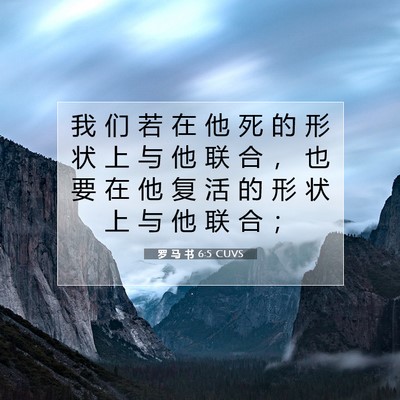 Picture 07 - 罗 马 书 6:5 CUVS - 我 们 若 在 他 死 的 形 状 上 与 他 - Bible Verse Picture