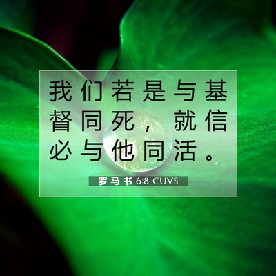 Picture 07 - 罗 马 书 6:8 CUVS - 我 们 若 是 与 基 督 同 死 ， 就 信 - Bible Verse Picture