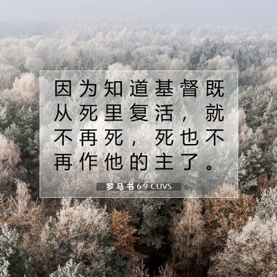 Picture 07 - 罗 马 书 6:9 CUVS - 因 为 知 道 基 督 既 从 死 里 复 活 - Bible Verse Picture