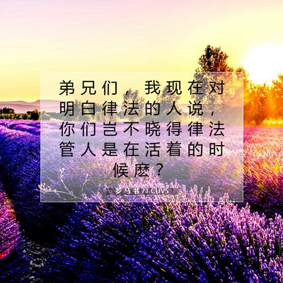 Picture 07 - 罗 马 书 7:1 CUVS - 弟 兄 们 ， 我 现 在 对 明 白 律 法 - Bible Verse Picture