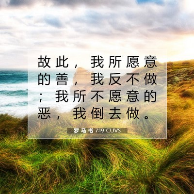 Picture 07 - 罗 马 书 7:19 CUVS - 故 此 ， 我 所 愿 意 的 善 ， 我 反 - Bible Verse Picture