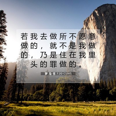 Picture 07 - 罗 马 书 7:20 CUVS - 若 我 去 做 所 不 愿 意 做 的 ， 就 - Bible Verse Picture
