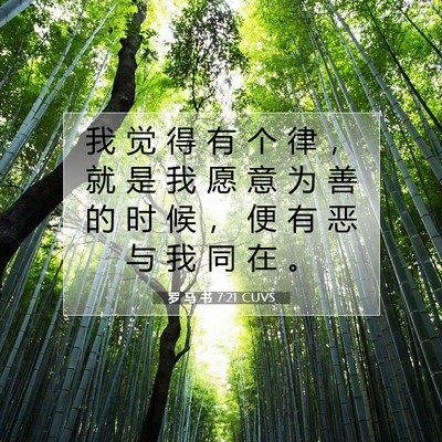 Picture 07 - 罗 马 书 7:21 CUVS - 我 觉 得 有 个 律 ， 就 是 我 愿 意 - Bible Verse Picture