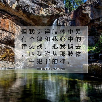 Picture 07 - 罗 马 书 7:23 CUVS - 但 我 觉 得 肢 体 中 另 有 个 律 和 - Bible Verse Picture
