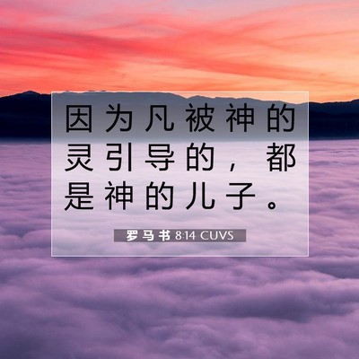 Picture 07 - 罗 马 书 8:14 CUVS - 因 为 凡 被 神 的 灵 引 导 的 ， 都 - Bible Verse Picture