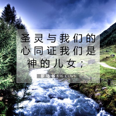 Picture 07 - 罗 马 书 8:16 CUVS - 圣 灵 与 我 们 的 心 同 证 我 们 是 - Bible Verse Picture