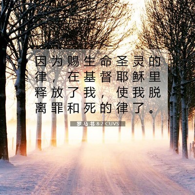 Picture 07 - 罗 马 书 8:2 CUVS - 因 为 赐 生 命 圣 灵 的 律 ， 在 基 - Bible Verse Picture