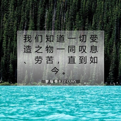 Picture 07 - 罗 马 书 8:22 CUVS - 我 们 知 道 一 切 受 造 之 物 一 同 - Bible Verse Picture