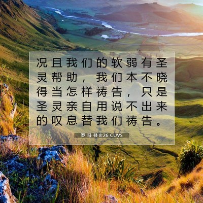 Picture 07 - 罗 马 书 8:26 CUVS - 况 且 我 们 的 软 弱 有 圣 灵 帮 助 - Bible Verse Picture