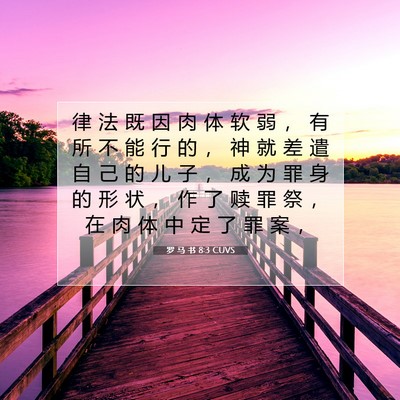 Picture 07 - 罗 马 书 8:3 CUVS - 律 法 既 因 肉 体 软 弱 ， 有 所 不 - Bible Verse Picture