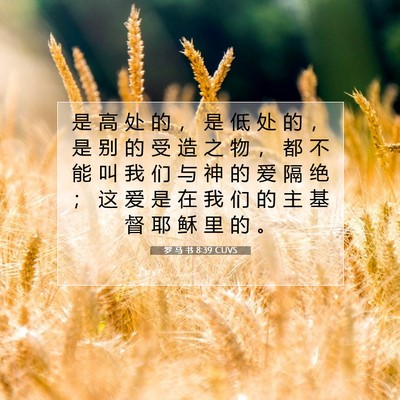 Picture 07 - 罗 马 书 8:39 CUVS - 是 高 处 的 ， 是 低 处 的 ， 是 别 - Bible Verse Picture