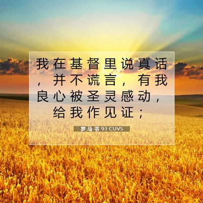 Picture 07 - 罗 马 书 9:1 CUVS - 我 在 基 督 里 说 真 话 ， 并 不 谎 - Bible Verse Picture