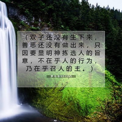 Picture 07 - 罗 马 书 9:11 CUVS - （ 双 子 还 没 有 生 下 来 ， 善 恶 - Bible Verse Picture
