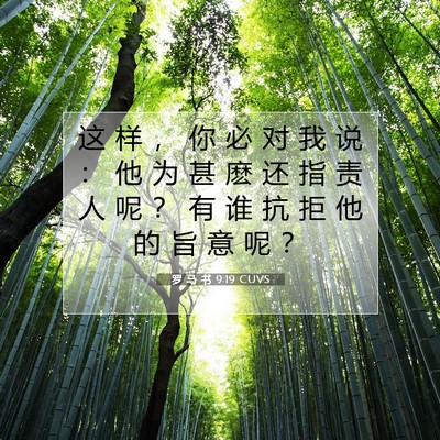 Picture 07 - 罗 马 书 9:19 CUVS - 这 样 ， 你 必 对 我 说 ： 他 为 甚 - Bible Verse Picture