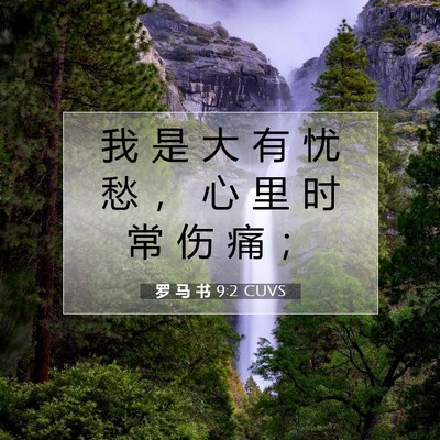 Picture 07 - 罗 马 书 9:2 CUVS - 我 是 大 有 忧 愁 ， 心 里 时 常 伤 - Bible Verse Picture