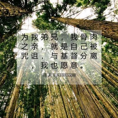 Picture 07 - 罗 马 书 9:3 CUVS - 为 我 弟 兄 ， 我 骨 肉 之 亲 ， 就 - Bible Verse Picture