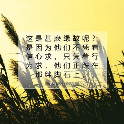 Picture 07 - 罗 马 书 9:32 CUVS - 这 是 甚 麽 缘 故 呢 ？ 是 因 为 他 - Bible Verse Picture