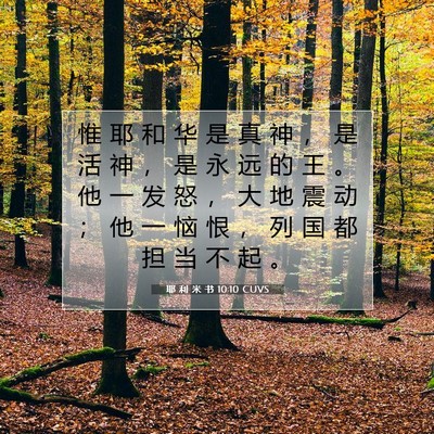 Picture 07 - 耶 利 米 书 10:10 CUVS - 惟 耶 和 华 是 真 神 ， 是 活 神 ， - Bible Verse Picture