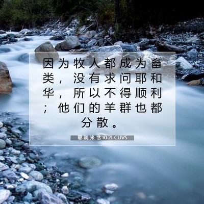 Picture 07 - 耶 利 米 书 10:21 CUVS - 因 为 牧 人 都 成 为 畜 类 ， 没 有 - Bible Verse Picture