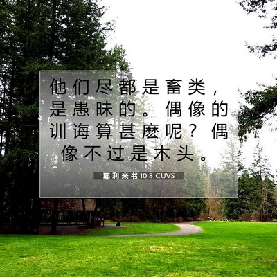 Picture 07 - 耶 利 米 书 10:8 CUVS - 他 们 尽 都 是 畜 类 ， 是 愚 昧 的 - Bible Verse Picture