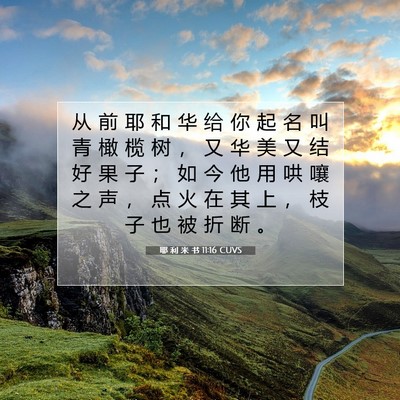 Picture 07 - 耶 利 米 书 11:16 CUVS - 从 前 耶 和 华 给 你 起 名 叫 青 橄 - Bible Verse Picture