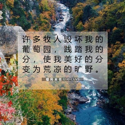 Picture 07 - 耶 利 米 书 12:10 CUVS - 许 多 牧 人 毁 坏 我 的 葡 萄 园 ， - Bible Verse Picture