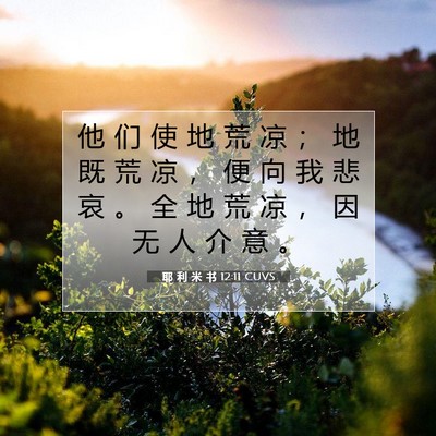Picture 07 - 耶 利 米 书 12:11 CUVS - 他 们 使 地 荒 凉 ； 地 既 荒 凉 ， - Bible Verse Picture