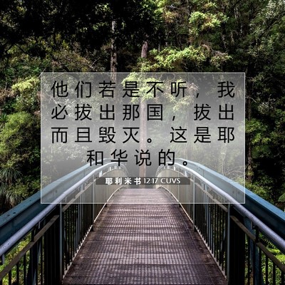 Picture 07 - 耶 利 米 书 12:17 CUVS - 他 们 若 是 不 听 ， 我 必 拔 出 那 - Bible Verse Picture
