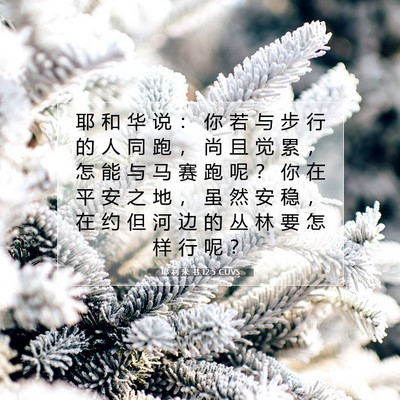 Picture 07 - 耶 利 米 书 12:5 CUVS - 耶 和 华 说 ： 你 若 与 步 行 的 人 - Bible Verse Picture
