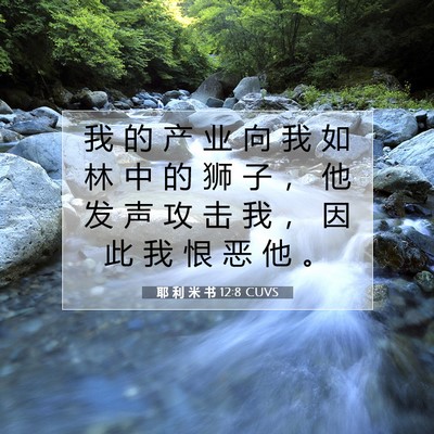 Picture 07 - 耶 利 米 书 12:8 CUVS - 我 的 产 业 向 我 如 林 中 的 狮 子 - Bible Verse Picture