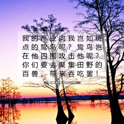 Picture 07 - 耶 利 米 书 12:9 CUVS - 我 的 产 业 向 我 岂 如 斑 点 的 鸷 - Bible Verse Picture