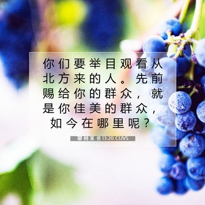 Picture 07 - 耶 利 米 书 13:20 CUVS - 你 们 要 举 目 观 看 从 北 方 来 的 - Bible Verse Picture