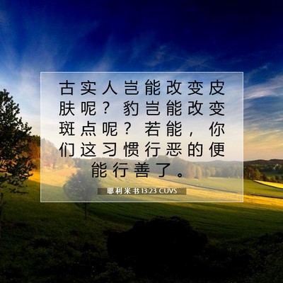 Picture 07 - 耶 利 米 书 13:23 CUVS - 古 实 人 岂 能 改 变 皮 肤 呢 ？ 豹 - Bible Verse Picture
