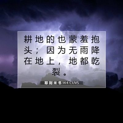 Picture 07 - 耶 利 米 书 14:4 CUVS - 耕 地 的 也 蒙 羞 抱 头 ； 因 为 无 - Bible Verse Picture