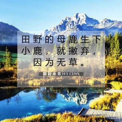 Picture 07 - 耶 利 米 书 14:5 CUVS - 田 野 的 母 鹿 生 下 小 鹿 ， 就 撇 - Bible Verse Picture